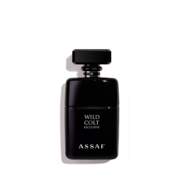 Screenshot 2025-03-09 at 22.58.47 ASSAF WILD COLT EXCLUSIVE