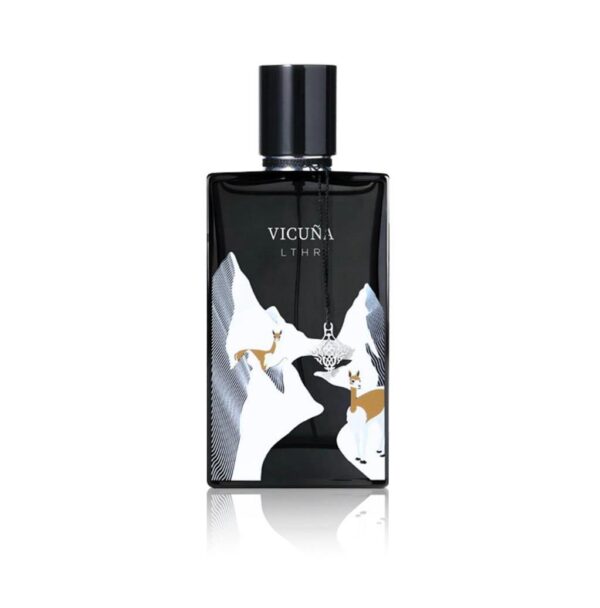 WhatsApp Image 2025-03-23 à 05.10.42_1dae651c IBRAQ VICUNA EDP