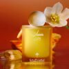 IBRAQ MUSK AL SHAMS